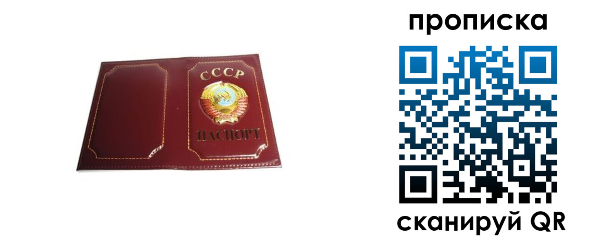 прописка гарантия в Малой Вишере
